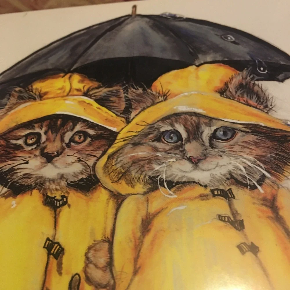 Cat Greeting Card 12 Pack Set Kittens Under Umbrella 5x7